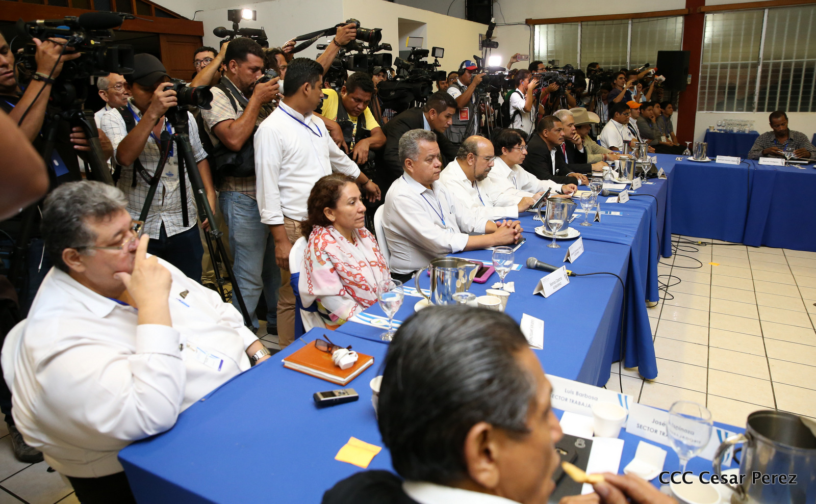 Dialogo1